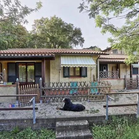 Appartement Le Querce - Lentisco *