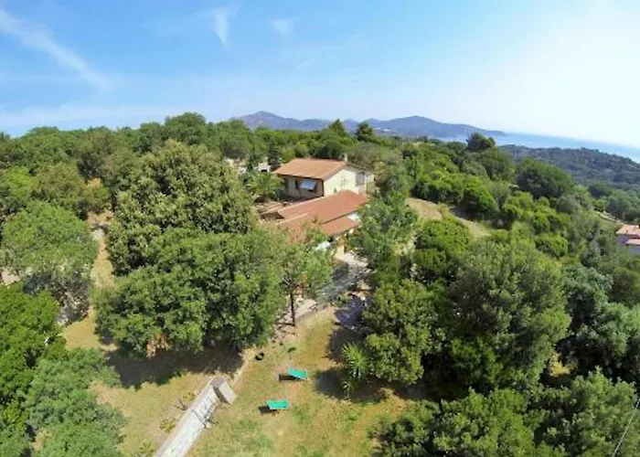 Le Querce - Lentisco *