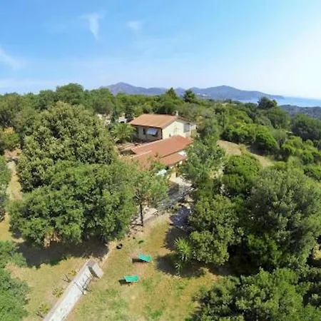 Le Querce - Lentisco *