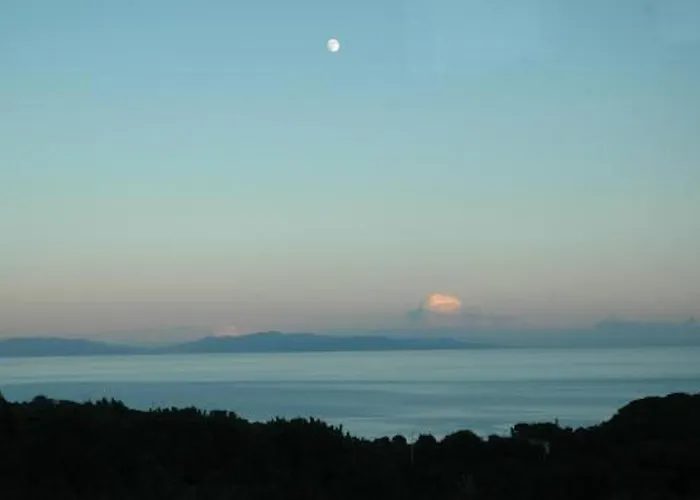 Le Querce - Lentisco *