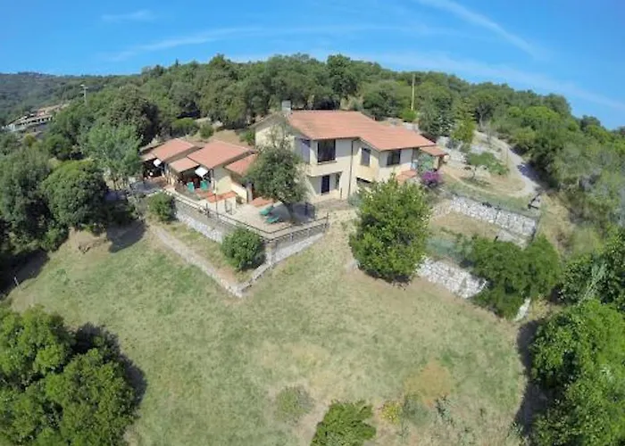 Le Querce - Lentisco *