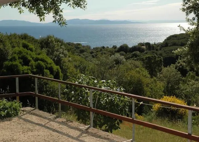 Le Querce - Lentisco *